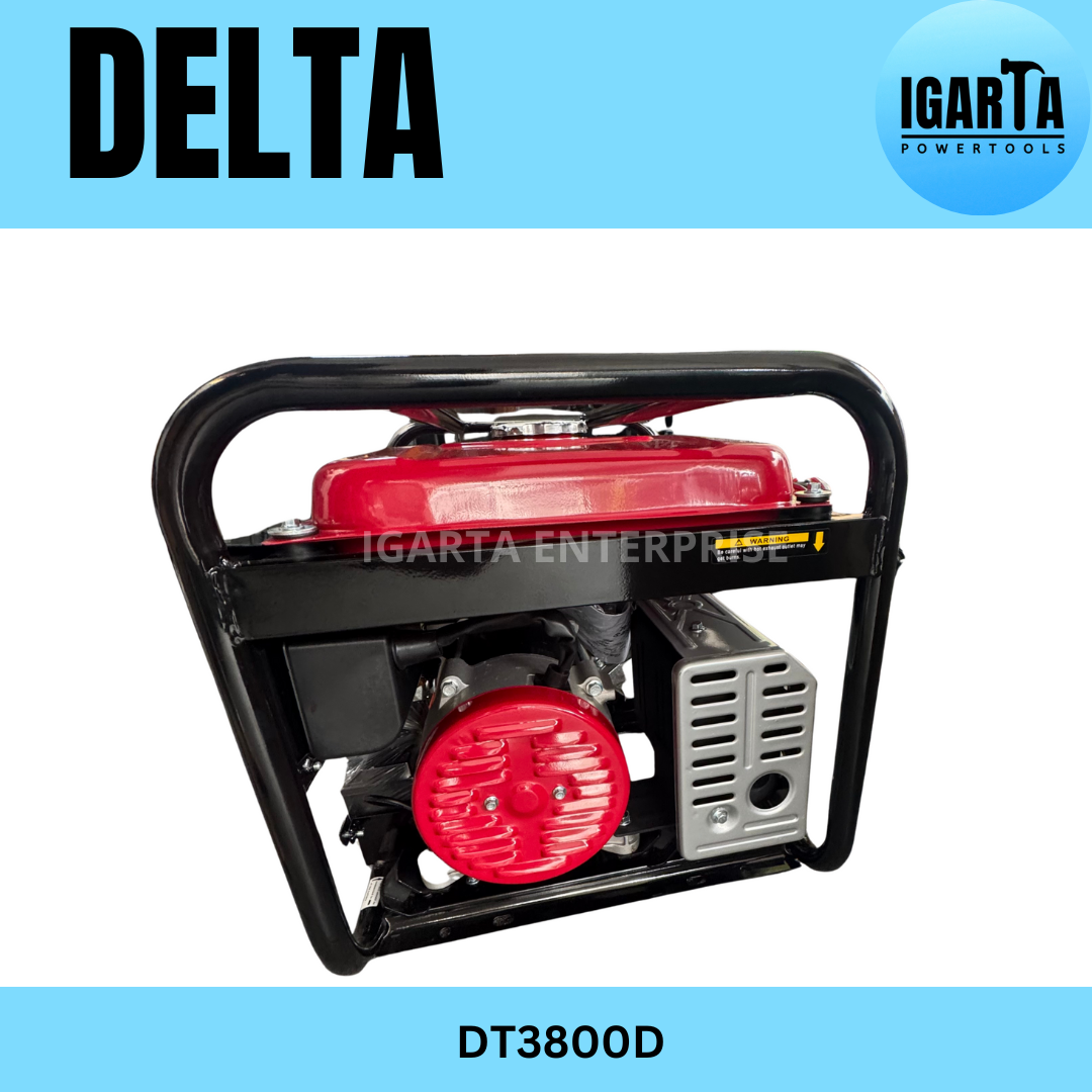 DELTA 3100W DT3800D Gasoline Generator with Electric & Manual Start