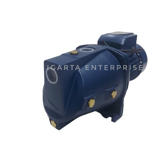 Wizz 1 HP Water Pump