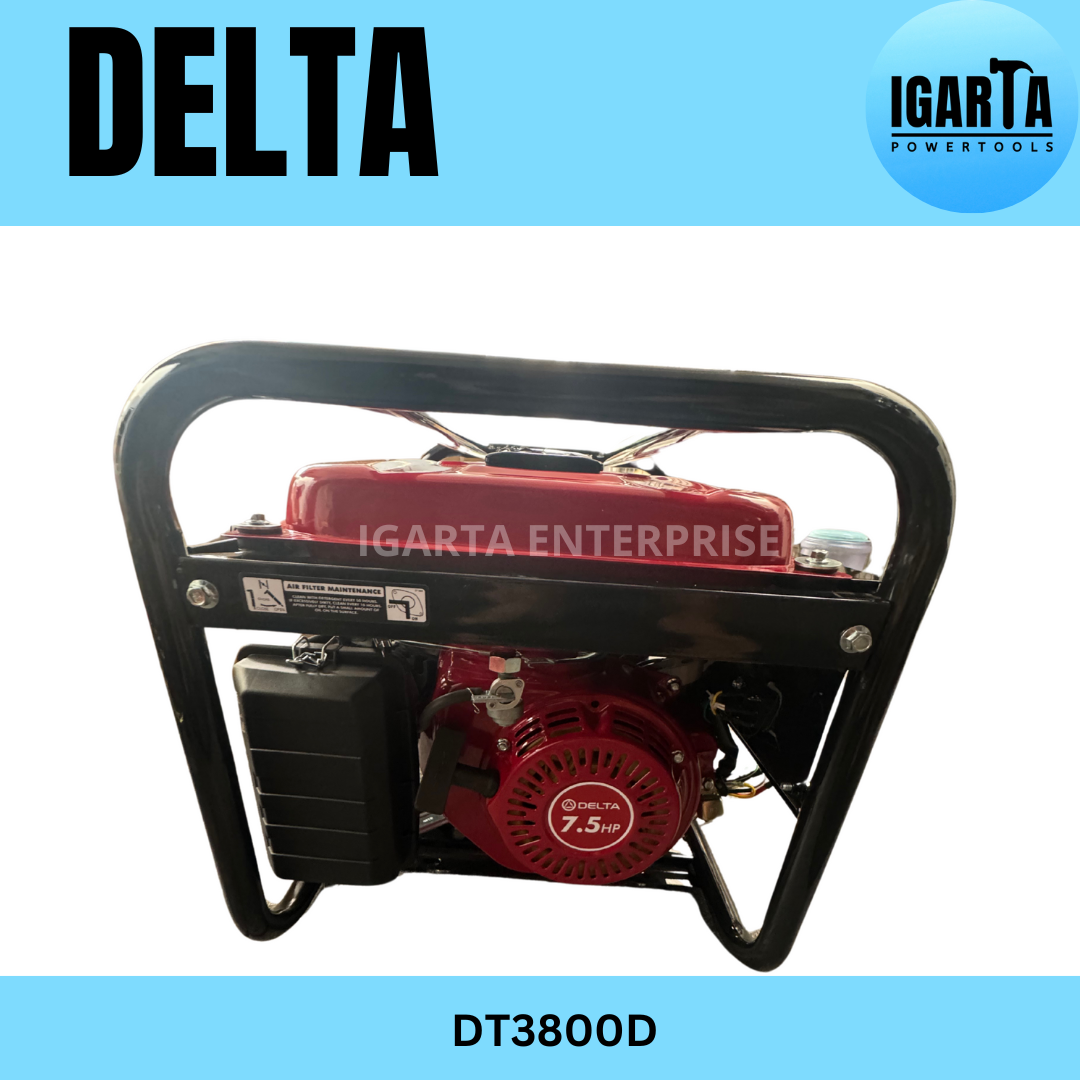 DELTA 3100W DT3800D Gasoline Generator with Electric & Manual Start