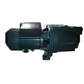 Viva Clean Water Pump 1HP Jet 100